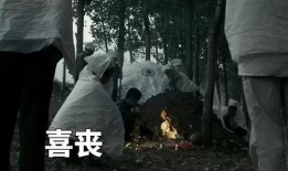 喜丧 在线观看,穿越生死界限的感人故事